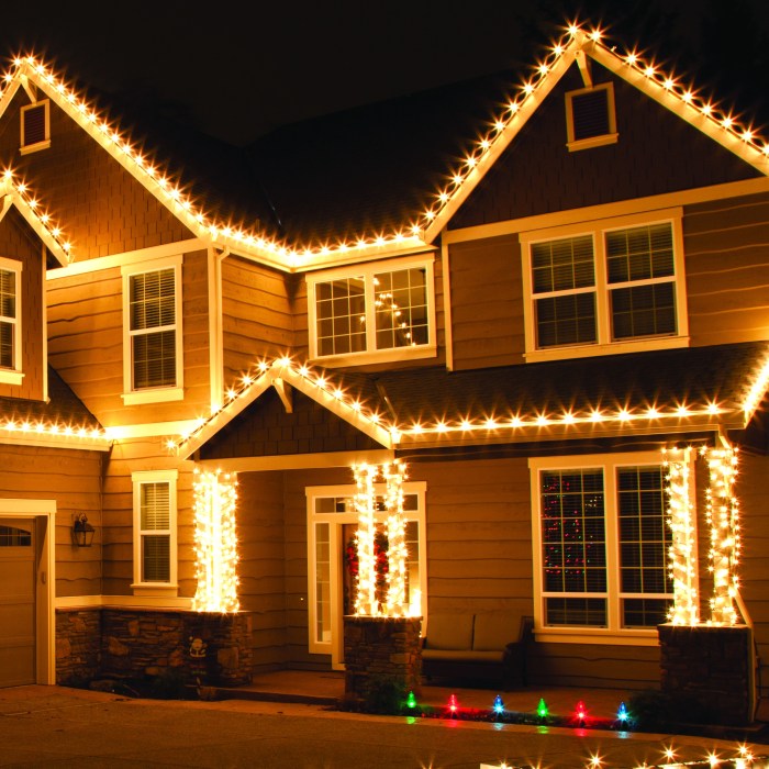 Led christmas outdoor decor